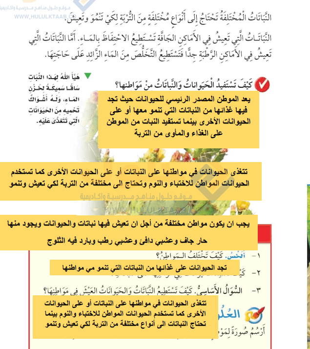 حل الوحدة الثانية المواطن علوم للصف الثاني الابتدائي