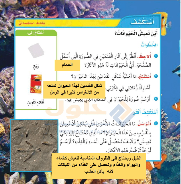 حل كتاب العلوم ثاني ابتدائي الفصل الاول ف1 1446