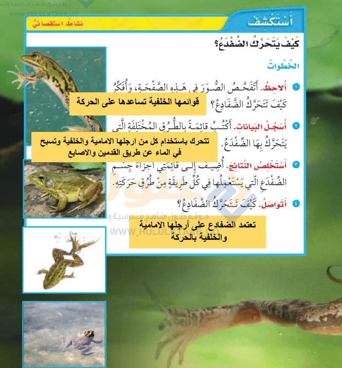 حل كتاب العلوم ثاني ابتدائي ف1 الفصل الاول 1446 محلول